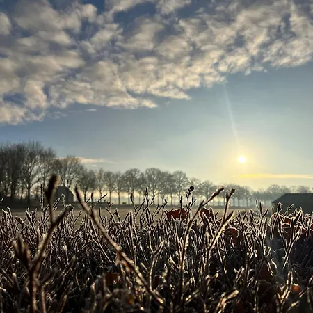 't Holtslag Bed & Breakfast 3*