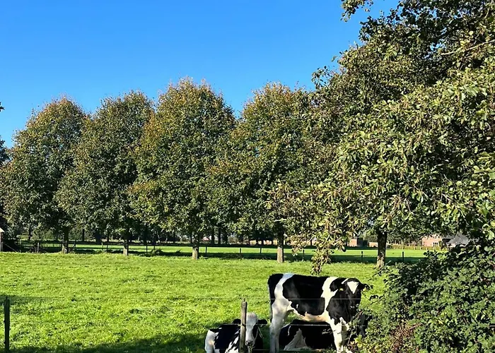 Bed & Breakfast 't Holtslag Baak