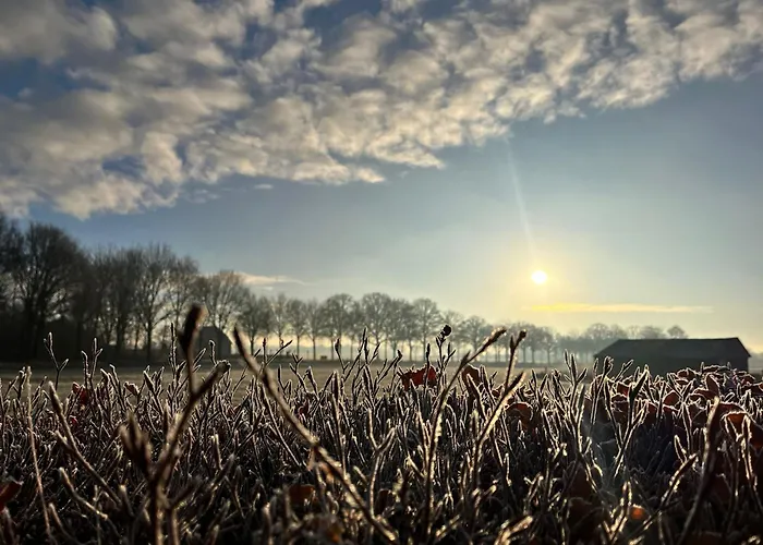 't Holtslag Bed & Breakfast 3*